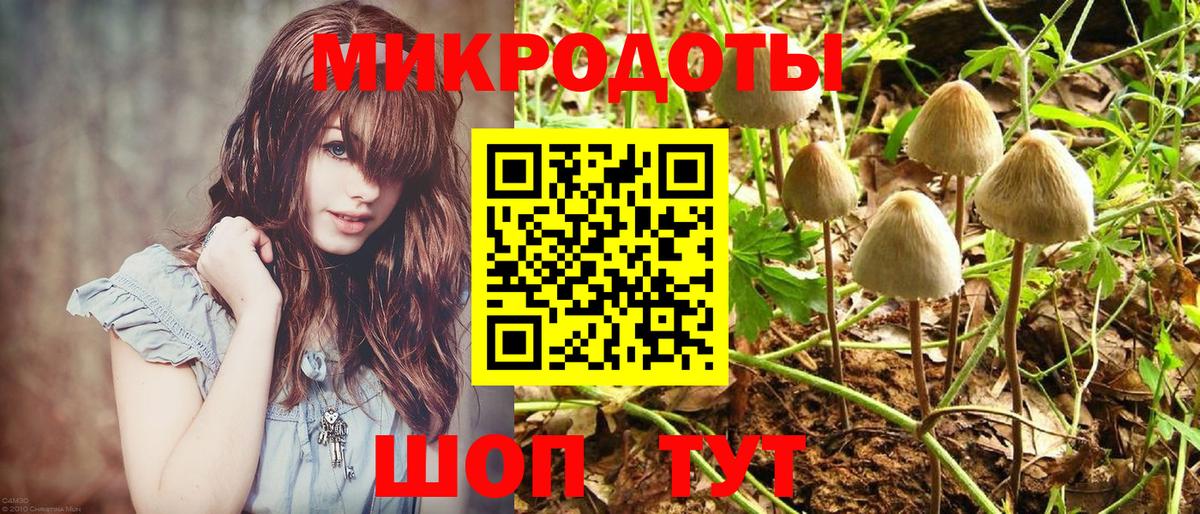 Галлюциногенные грибы Psilocybe  Галлюциногенные грибы GOLDEN TEACHER  Вход с VPN  как найти закладки  Красный Сулин 
